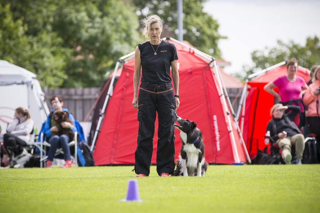 Foto: Maria Sandström Att som förare själv ha fokus åt det håll hunden ska springa är en av uppgifterna vi har på tävling.