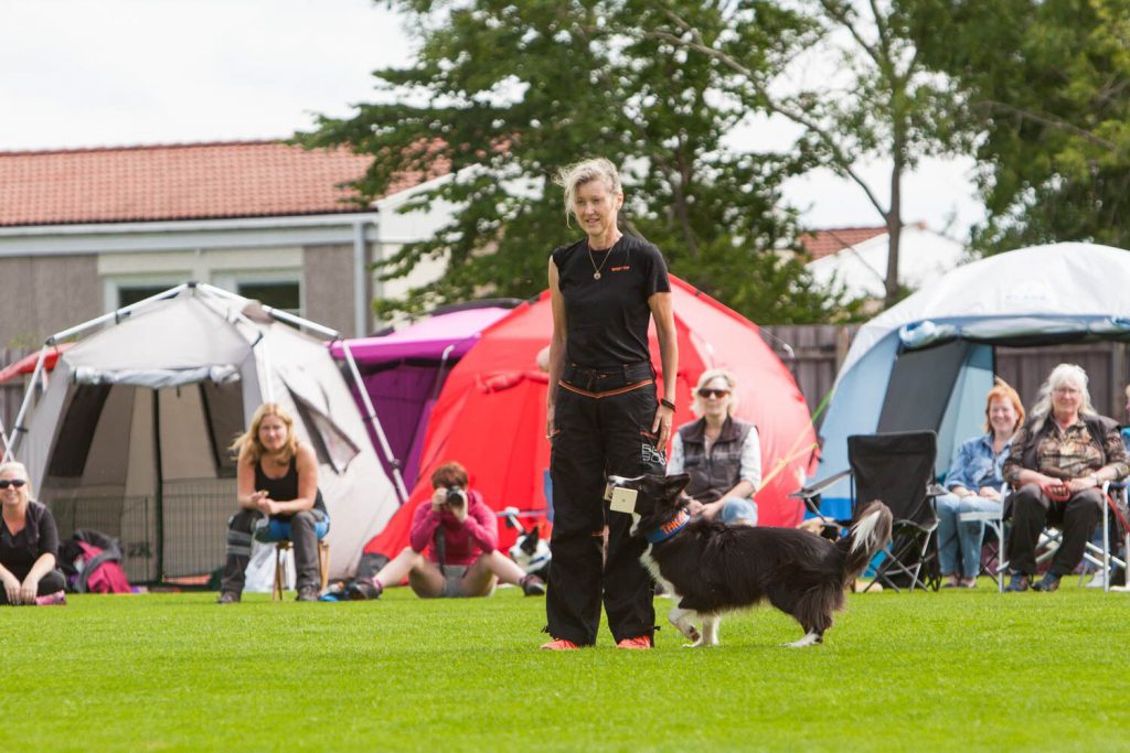 Om det alltid kännas gott att springa mot matte, så tar man gärna i lite extra. :) Foto: Daniel Eidenskog